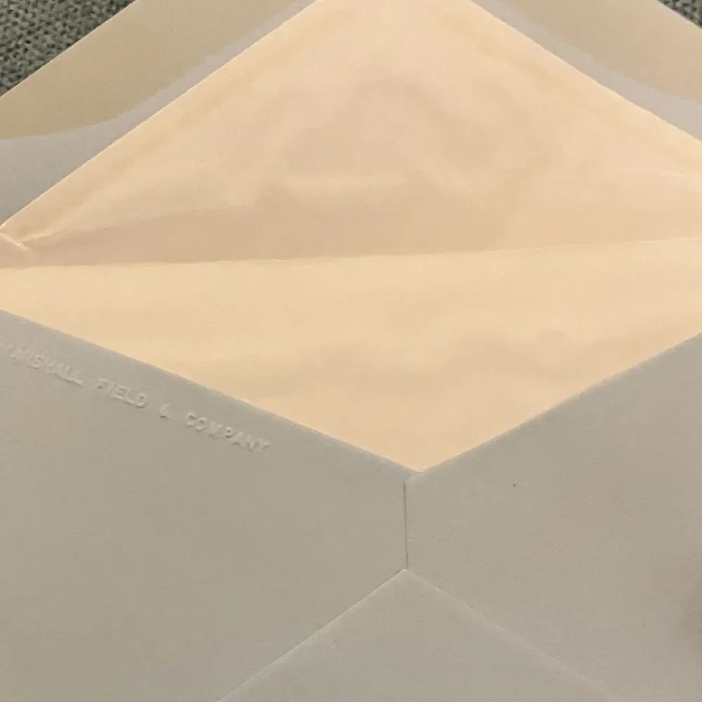 10 Blue Envelopes